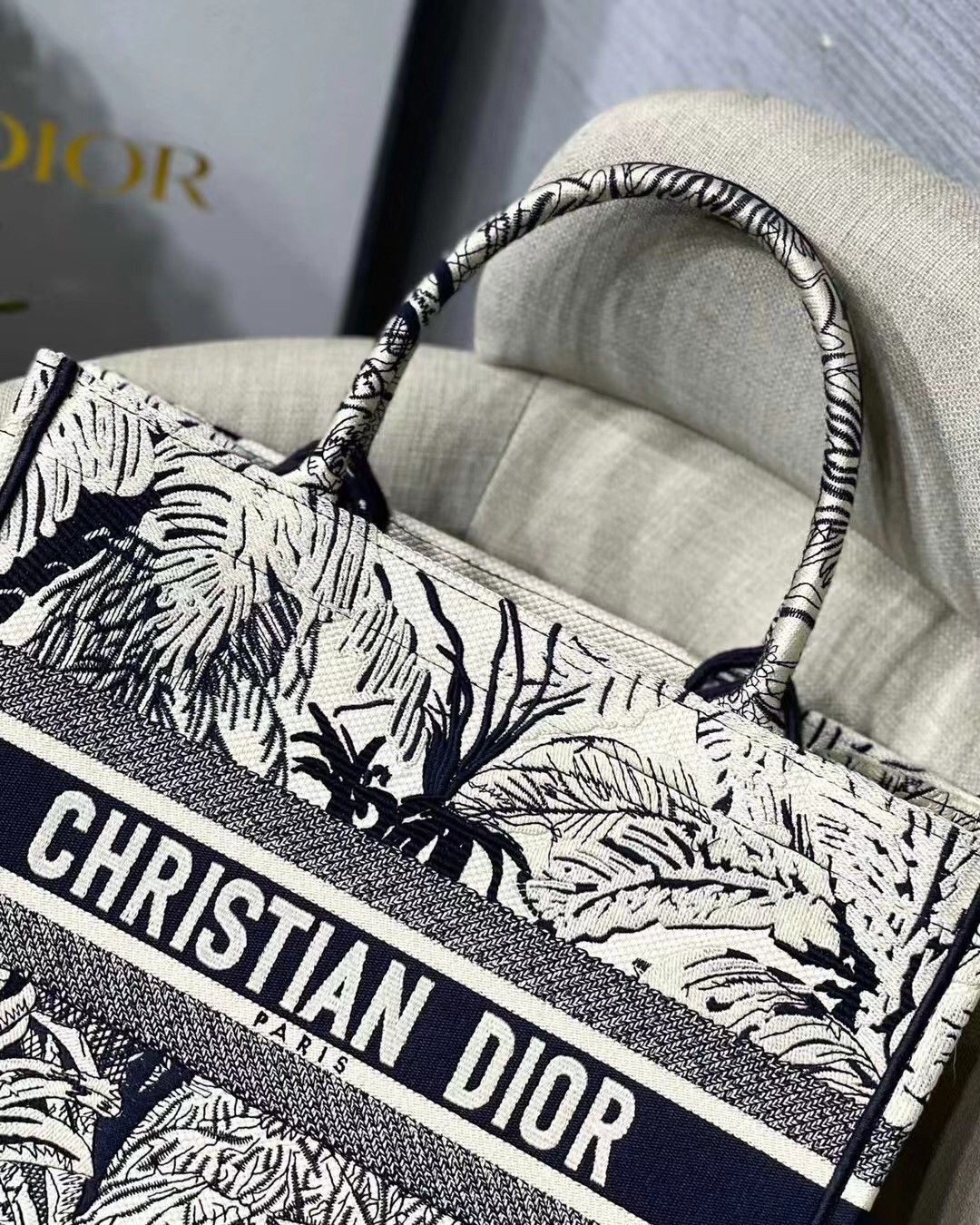 D*or small D*or book tote in blue toile de jouy palms embroidery