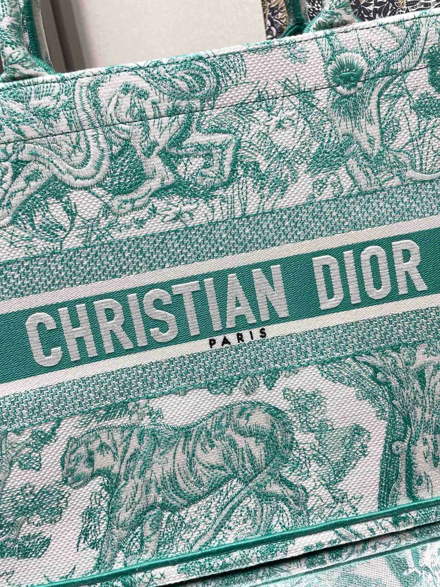 D*or medium D*oriviera book tote in aquamarina toile de jouy embroidery
