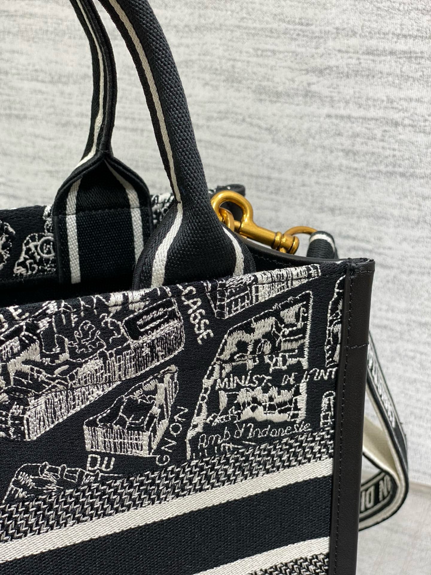 D*or small book tote bag with strap in plan de paris embroidery and black calfskin