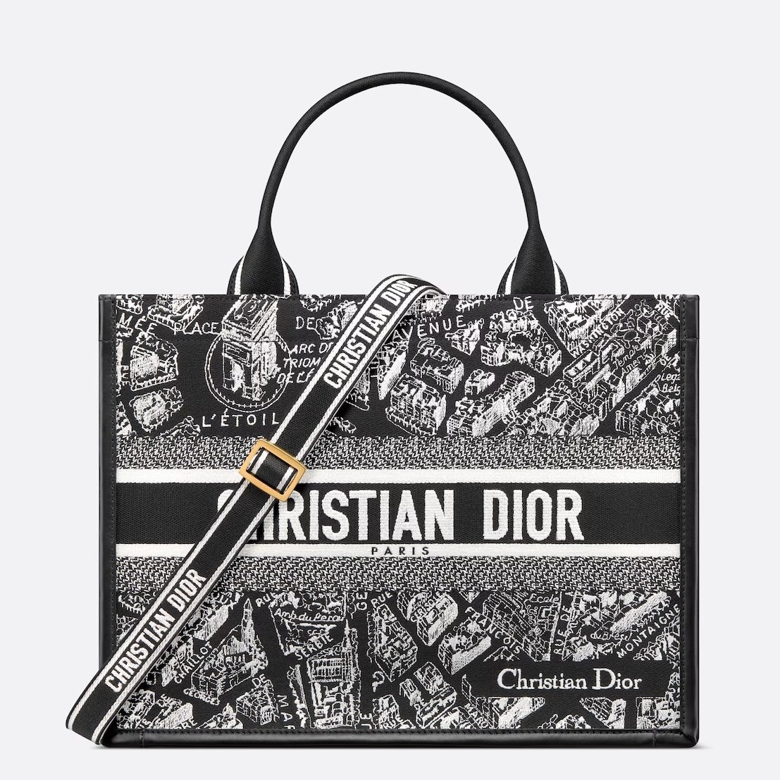 D*or medium book tote bag with strap in plan de paris embroidery and black calfskin