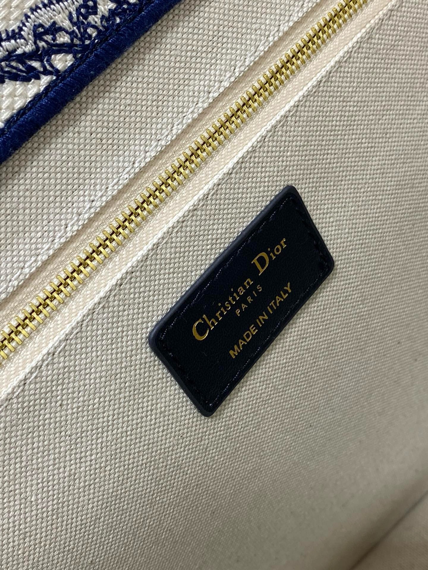 D*or medium book tote bag with strap in blue toile de jouy sauvage embroidery