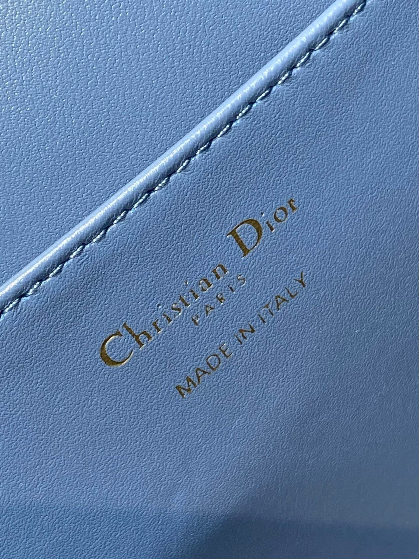 D*or caro medium backpack in blue macrocannage lambskin