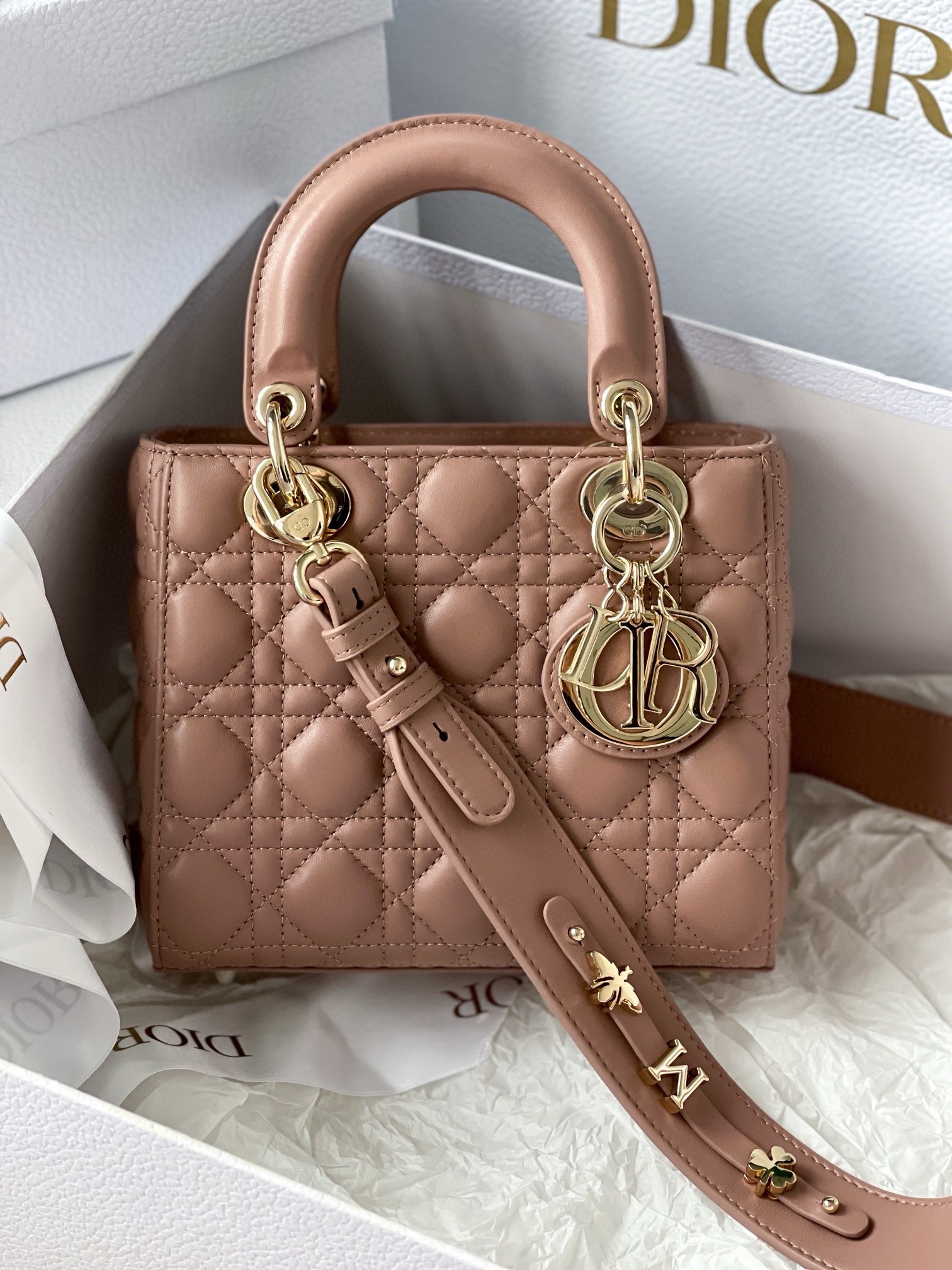 D*or small lady D*or my abcD*or bag in blush lambskin