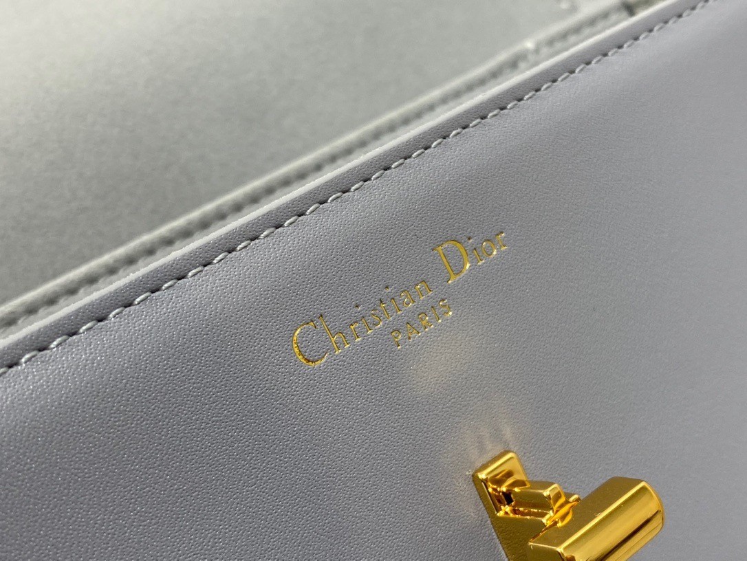 D*or 30 montaigne avenue bag in grey box calfskin