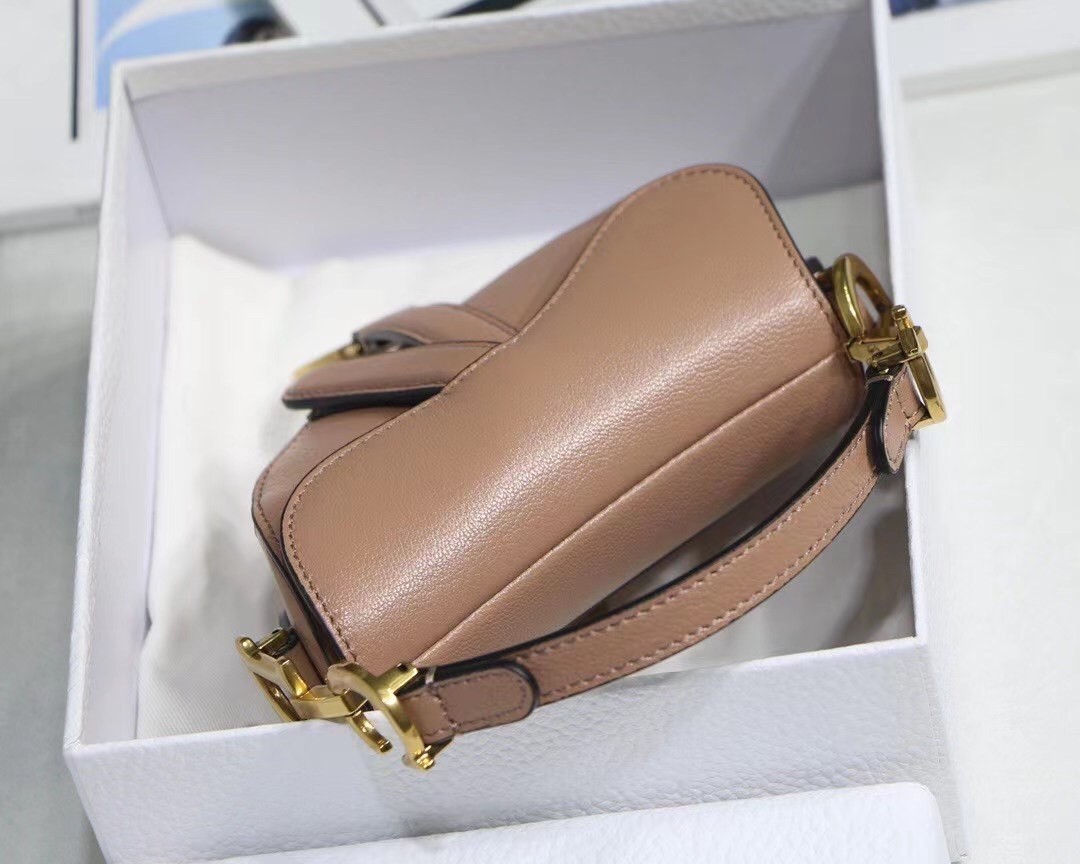 D*or micro saddle bag in poudre goatskin