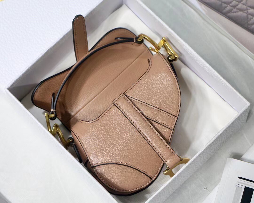D*or micro saddle bag in poudre goatskin