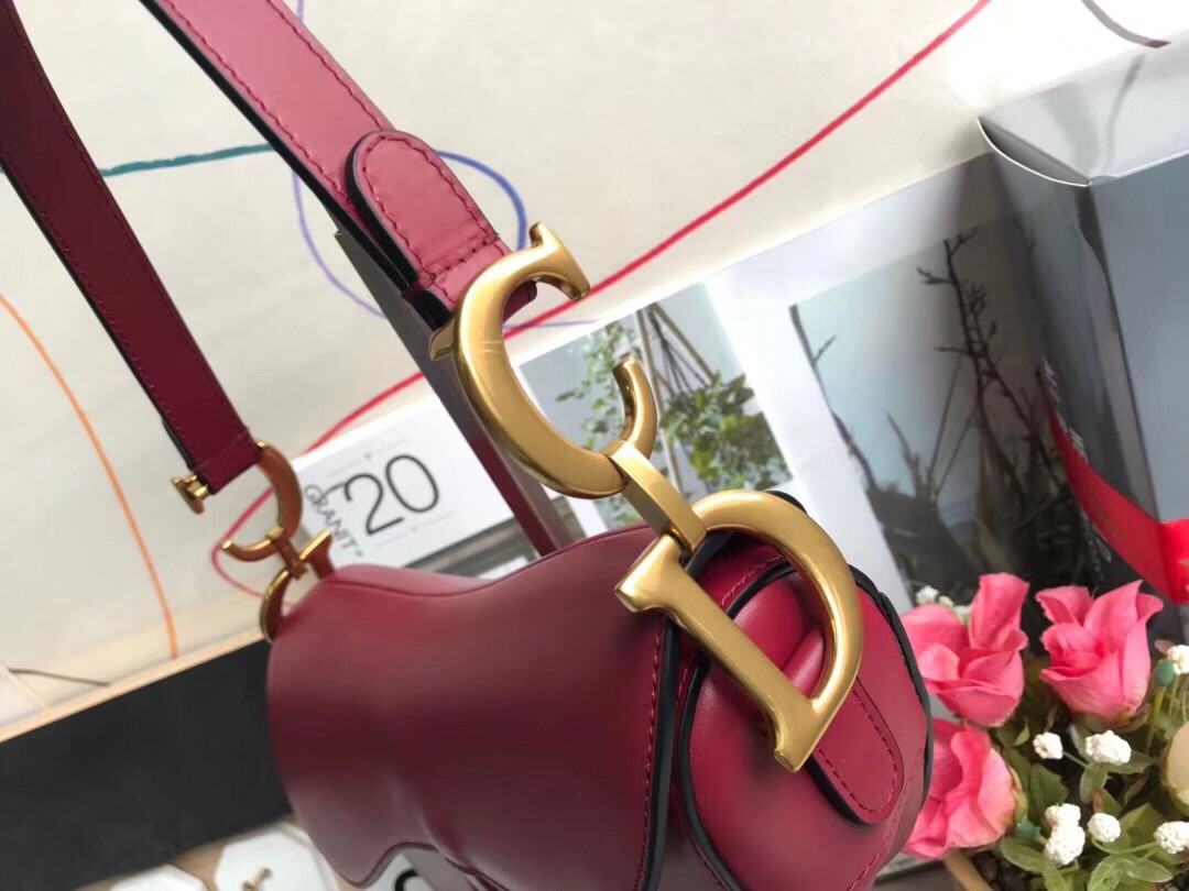 D*or saddle bag in red calfskin