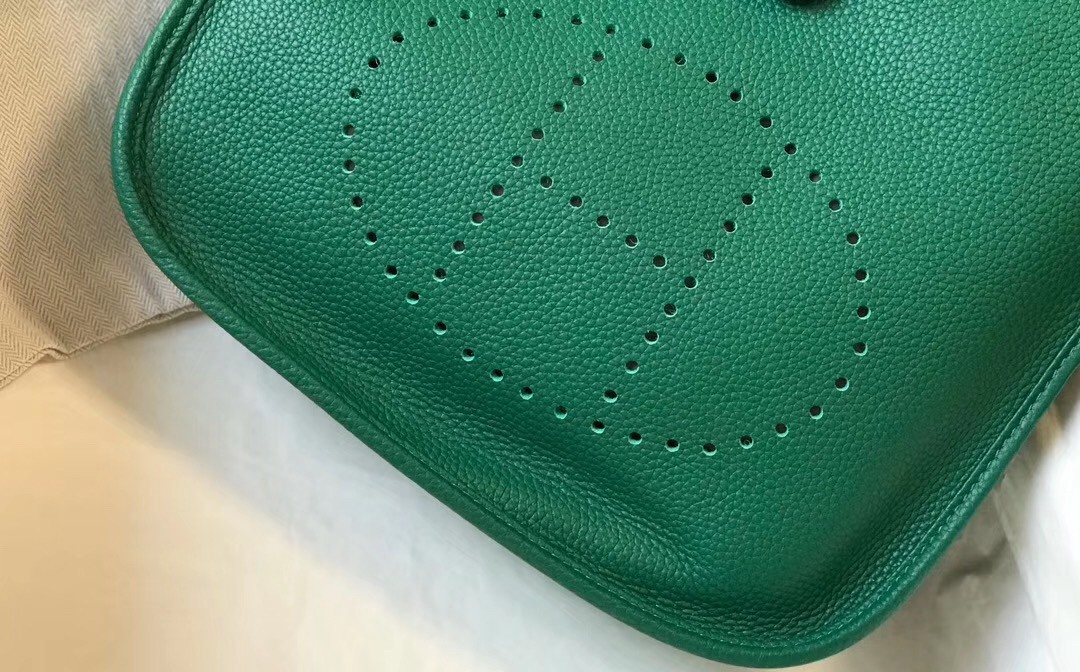 H**mes evelyne iii 29 pm bag in vert vertigo clemence leather