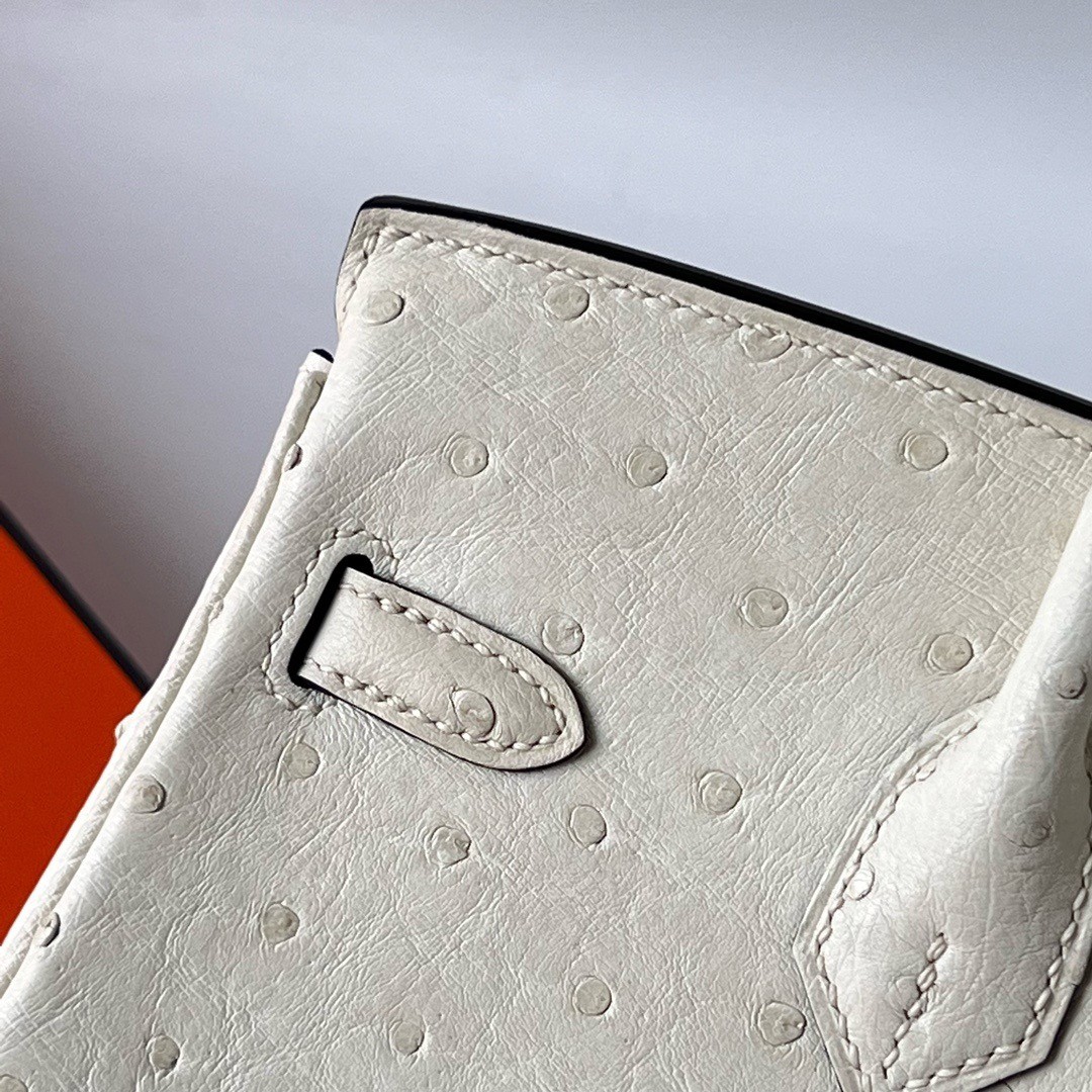 H**mes birkin 25 retourne handmade bag in beton ostrich leather