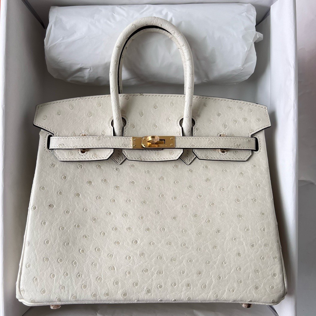 H**mes birkin 25 retourne handmade bag in beton ostrich leather