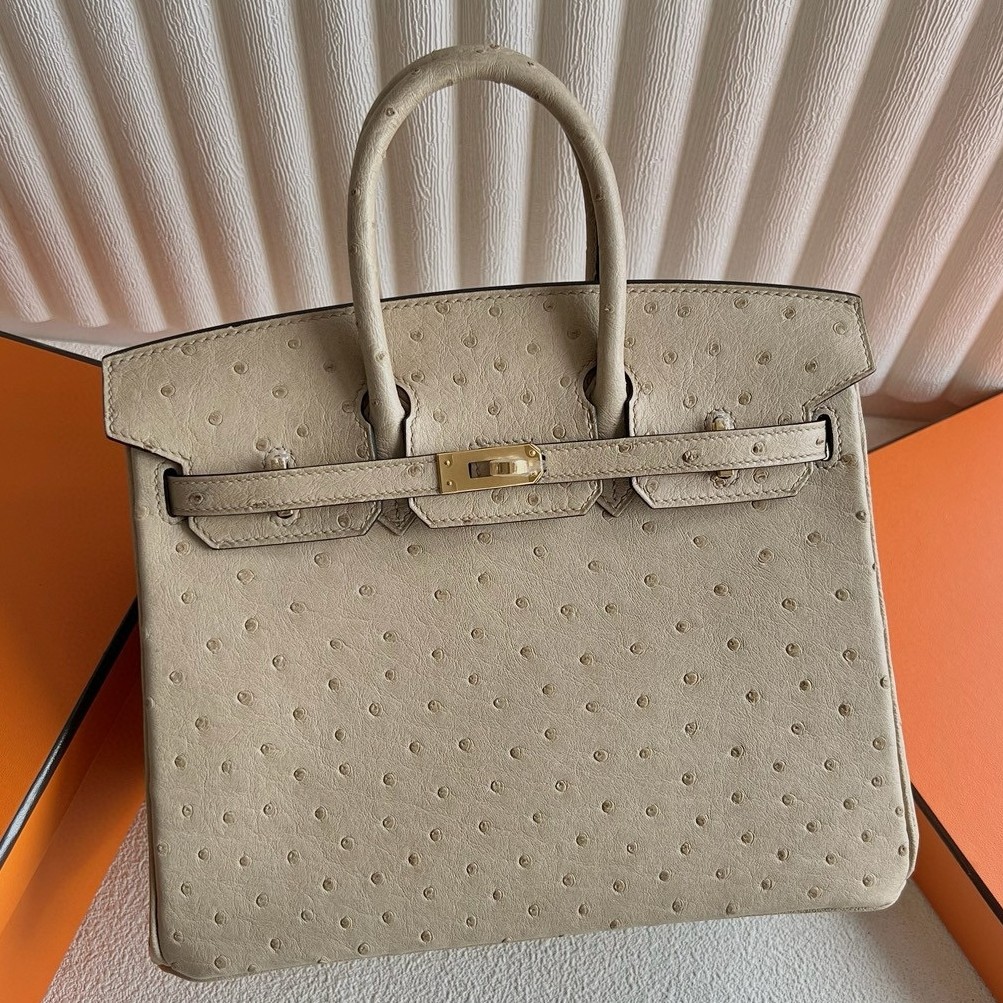 H**mes birkin 25 retourne handmade bag in trench ostrich leather
