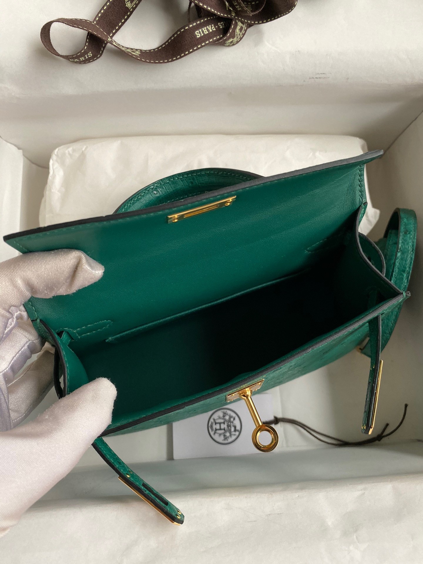 H**mes kelly mini ii sellier handmade bag in vert vertigo ostrich leather