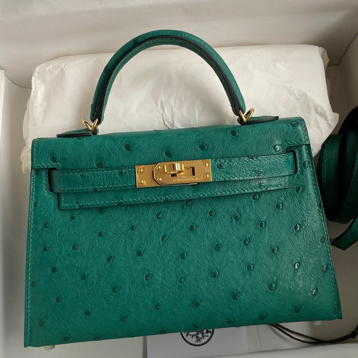 H**mes kelly mini ii sellier handmade bag in vert vertigo ostrich leather